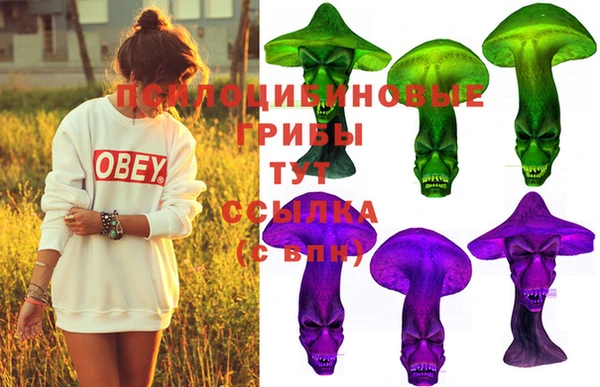 индика Алзамай