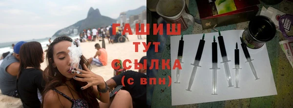 индика Алзамай