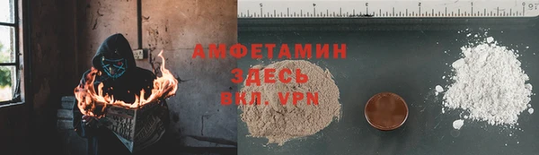 индика Алзамай
