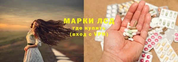 индика Алзамай